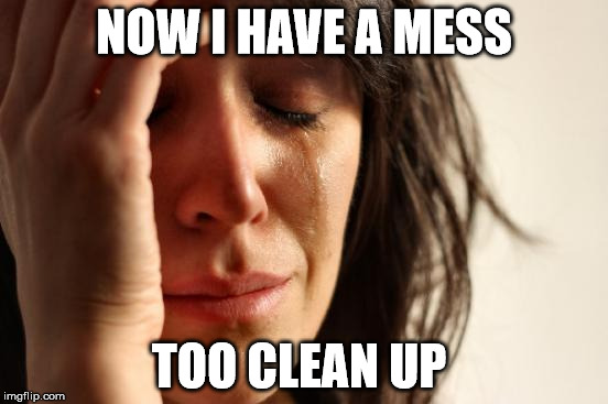 First World Problems Meme | NOW I HAVE A MESS TOO CLEAN UP | image tagged in memes,first world problems | made w/ Imgflip meme maker