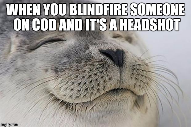 Satisfied Seal Meme | WHEN YOU BLINDFIRE SOMEONE ON COD AND IT'S A HEADSHOT | image tagged in memes,satisfied seal | made w/ Imgflip meme maker