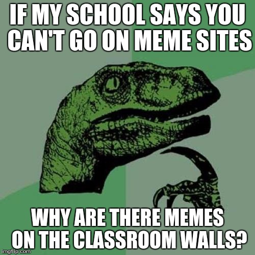 Philosoraptor Meme | IF MY SCHOOL SAYS YOU CAN'T GO ON MEME SITES; WHY ARE THERE MEMES ON THE CLASSROOM WALLS? | image tagged in memes,philosoraptor | made w/ Imgflip meme maker