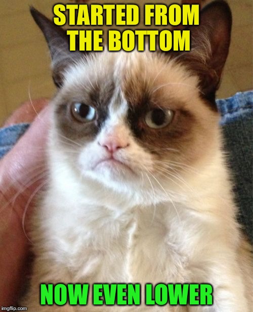 Grumpy Cat Meme | STARTED FROM THE BOTTOM NOW EVEN LOWER | image tagged in memes,grumpy cat | made w/ Imgflip meme maker