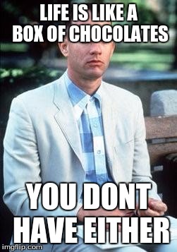Forest gump | LIFE IS LIKE A BOX OF CHOCOLATES; YOU DONT HAVE EITHER | image tagged in forest gump | made w/ Imgflip meme maker