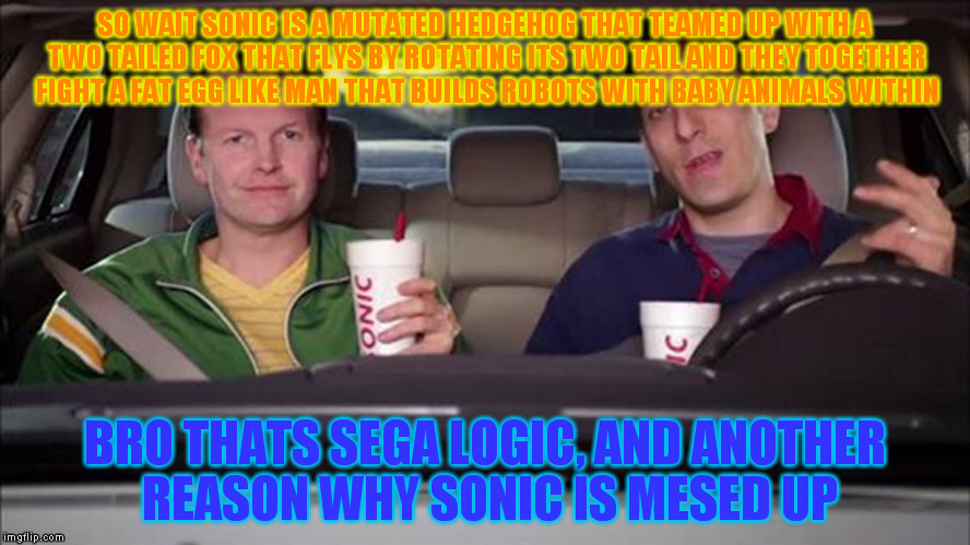 Sonic Idiots | SO WAIT SONIC IS A MUTATED HEDGEHOG THAT TEAMED UP WITH A TWO TAILED FOX THAT FLYS BY ROTATING ITS TWO TAIL AND THEY TOGETHER FIGHT A FAT EGG LIKE MAN THAT BUILDS ROBOTS WITH BABY ANIMALS WITHIN; BRO THATS SEGA LOGIC, AND ANOTHER REASON WHY SONIC IS MESED UP | image tagged in sonic idiots | made w/ Imgflip meme maker