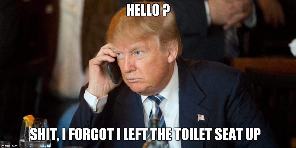 HELLO ? SHIT, I FORGOT I LEFT THE TOILET SEAT UP | image tagged in donald trump,funny memes | made w/ Imgflip meme maker