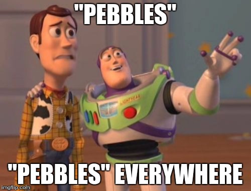 X, X Everywhere Meme | "PEBBLES" "PEBBLES" EVERYWHERE | image tagged in memes,x x everywhere | made w/ Imgflip meme maker