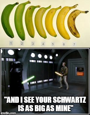 Banana Schwartz | "AND I SEE YOUR SCHWARTZ IS AS BIG AS MINE" | image tagged in spaceballs,banana,bananas,size,funny,memes | made w/ Imgflip meme maker