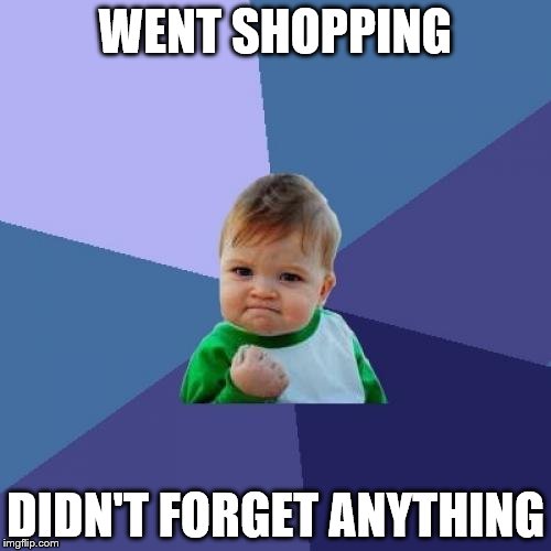 Usually I forget something... | WENT SHOPPING; DIDN'T FORGET ANYTHING | image tagged in memes,success kid,shopping | made w/ Imgflip meme maker