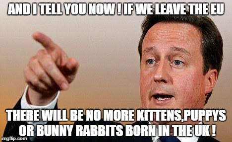 David Cameron  | AND I TELL YOU NOW ! IF WE LEAVE THE EU; THERE WILL BE NO MORE KITTENS,PUPPYS OR BUNNY RABBITS BORN IN THE UK ! | image tagged in david cameron | made w/ Imgflip meme maker