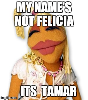 MY NAME'S NOT FELICIA; ITS  TAMAR | image tagged in black girl wat | made w/ Imgflip meme maker
