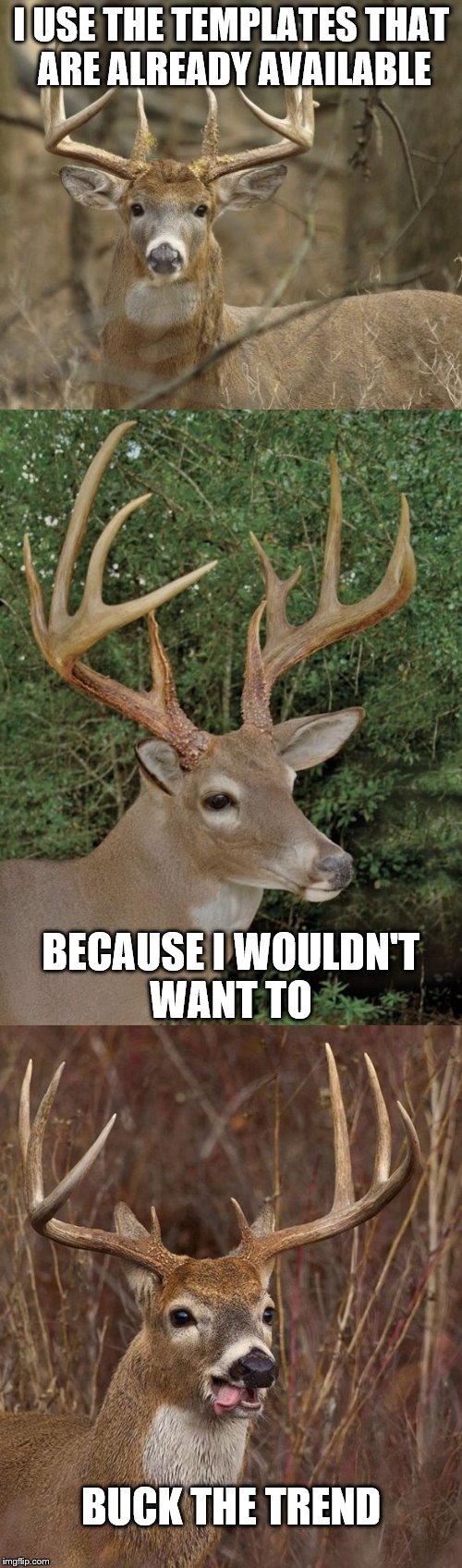 Bad Pun Buck | I USE THE TEMPLATES THAT ARE ALREADY AVAILABLE; BECAUSE I WOULDN'T WANT TO; BUCK THE TREND | image tagged in bad pun buck | made w/ Imgflip meme maker