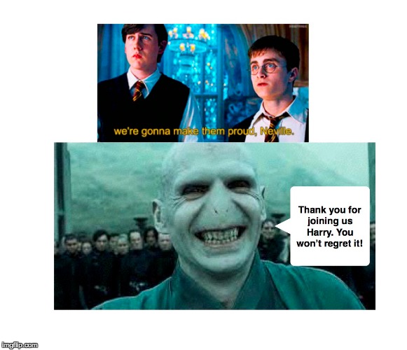 image tagged in harry potter,lord voldemort | made w/ Imgflip meme maker