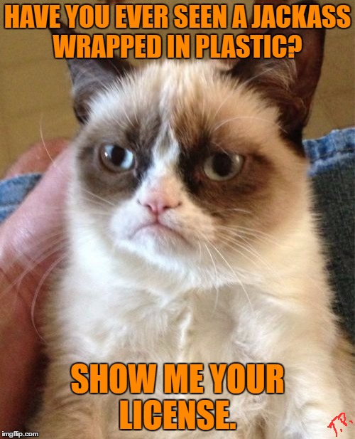 license | HAVE YOU EVER SEEN A JACKASS WRAPPED IN PLASTIC? SHOW ME YOUR LICENSE. | image tagged in memes,grumpy cat,insult,funny,too funny | made w/ Imgflip meme maker