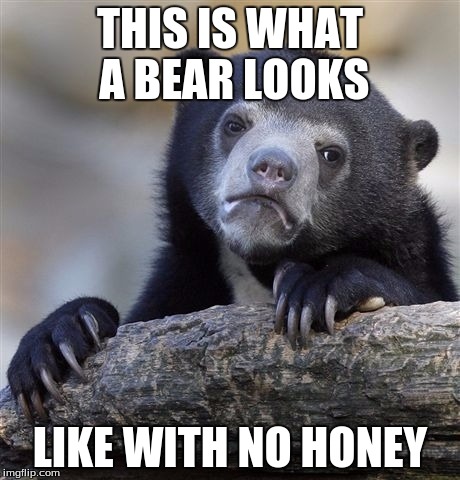 Confession Bear | THIS IS WHAT A BEAR LOOKS; LIKE WITH NO HONEY | image tagged in memes,confession bear | made w/ Imgflip meme maker