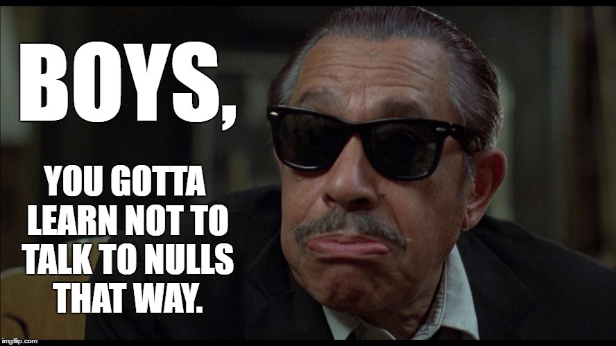 Curtis Knows | BOYS, YOU GOTTA LEARN NOT TO TALK TO NULLS THAT WAY. | image tagged in blues brothers | made w/ Imgflip meme maker