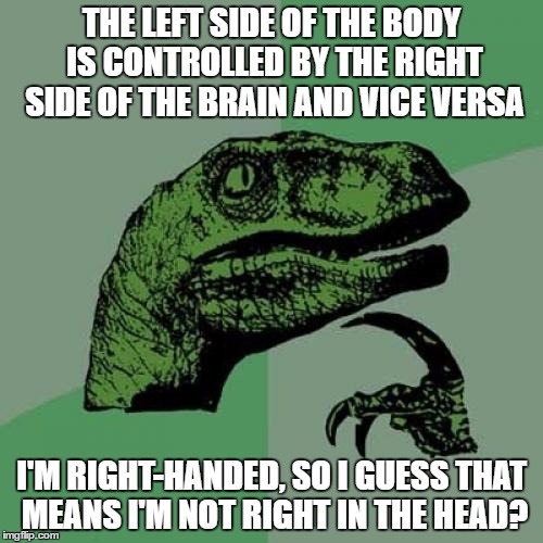 Philosoraptor | THE LEFT SIDE OF THE BODY IS CONTROLLED BY THE RIGHT SIDE OF THE BRAIN AND VICE VERSA; I'M RIGHT-HANDED, SO I GUESS THAT MEANS I'M NOT RIGHT IN THE HEAD? | image tagged in memes,philosoraptor | made w/ Imgflip meme maker