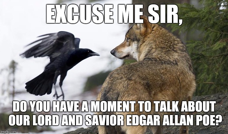 Inquisitive raven.  | EXCUSE ME SIR, DO YOU HAVE A MOMENT TO TALK ABOUT OUR LORD AND SAVIOR EDGAR ALLAN POE? | image tagged in raven,crow,edgar allan poe,memes,funny | made w/ Imgflip meme maker