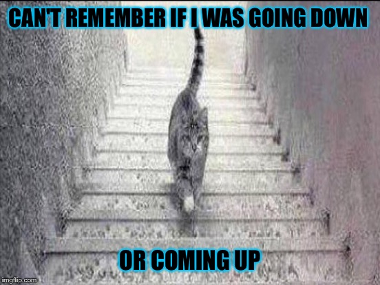 CAN'T REMEMBER IF I WAS GOING DOWN OR COMING UP | made w/ Imgflip meme maker