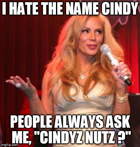 I HATE THE NAME CINDY; PEOPLE ALWAYS ASK ME, "CINDYZ NUTZ ?" | image tagged in cindy margolis,deez nutz,deez nuts,cindy,these nuts | made w/ Imgflip meme maker