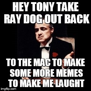 god father | HEY TONY TAKE RAY DOG OUT BACK; TO THE MAC TO MAKE SOME MORE MEMES TO MAKE ME LAUGHT | image tagged in god father | made w/ Imgflip meme maker