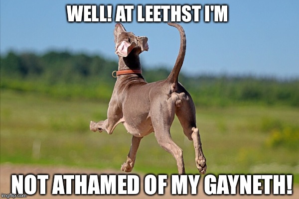 WELL! AT LEETHST I'M NOT ATHAMED OF MY GAYNETH! | made w/ Imgflip meme maker
