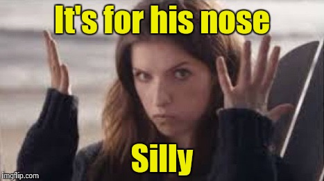 WTF Anna | It's for his nose Silly | image tagged in wtf anna | made w/ Imgflip meme maker