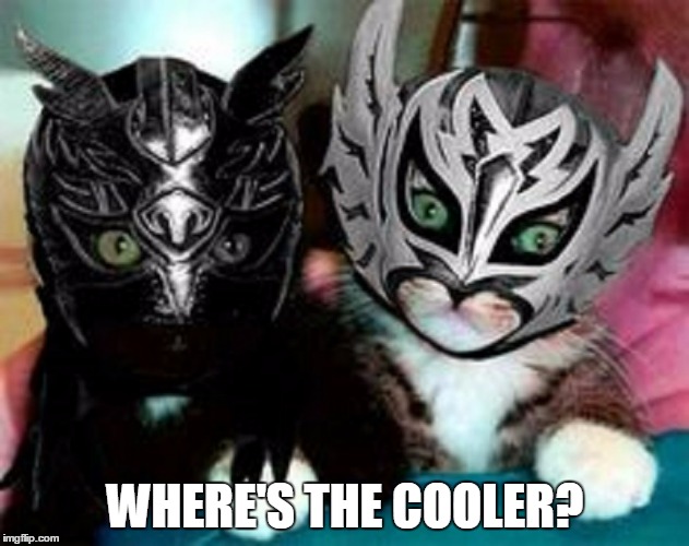 WHERE'S THE COOLER? | made w/ Imgflip meme maker