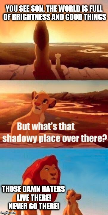 Simba Shadowy Place | YOU SEE SON, THE WORLD IS FULL OF BRIGHTNESS AND GOOD THINGS; THOSE DAMN HATERS LIVE THERE! NEVER GO THERE! | image tagged in memes,simba shadowy place | made w/ Imgflip meme maker