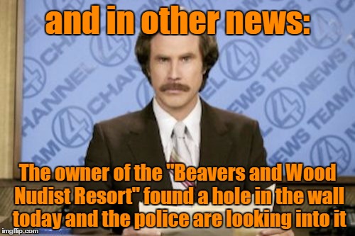 Ron Burgundy | and in other news:; The owner of the "Beavers and Wood Nudist Resort" found a hole in the wall today and the police are looking into it | image tagged in memes,ron burgundy | made w/ Imgflip meme maker