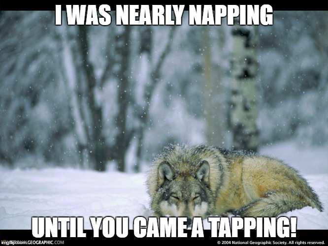 I WAS NEARLY NAPPING UNTIL YOU CAME A TAPPING! | made w/ Imgflip meme maker