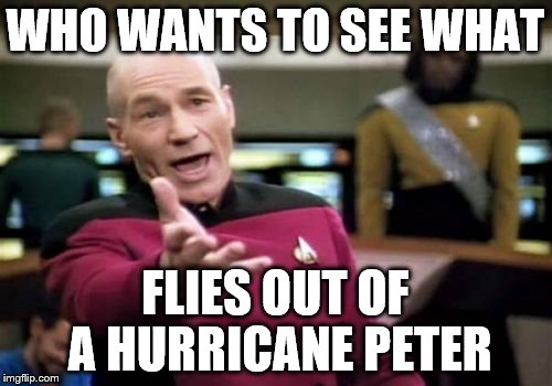 Picard Wtf Meme | WHO WANTS TO SEE WHAT FLIES OUT OF A HURRICANE PETER | image tagged in memes,picard wtf | made w/ Imgflip meme maker