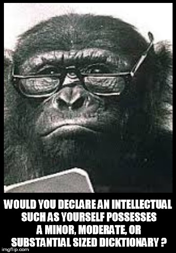 WOULD YOU DECLARE AN INTELLECTUAL SUCH AS YOURSELF POSSESSES A MINOR, MODERATE, OR SUBSTANTIAL SIZED DICKTIONARY ? | image tagged in monkey,dictionary,smart,monkey business,dick | made w/ Imgflip meme maker