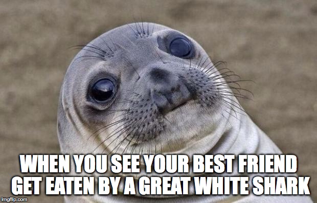 Can't be unseen | WHEN YOU SEE YOUR BEST FRIEND GET EATEN BY A GREAT WHITE SHARK | image tagged in memes,awkward moment sealion,funny memes,lmfao,the struggle,animals | made w/ Imgflip meme maker
