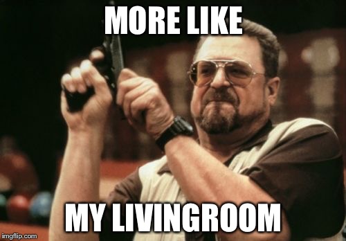 Am I The Only One Around Here Meme | MORE LIKE MY LIVINGROOM | image tagged in memes,am i the only one around here | made w/ Imgflip meme maker