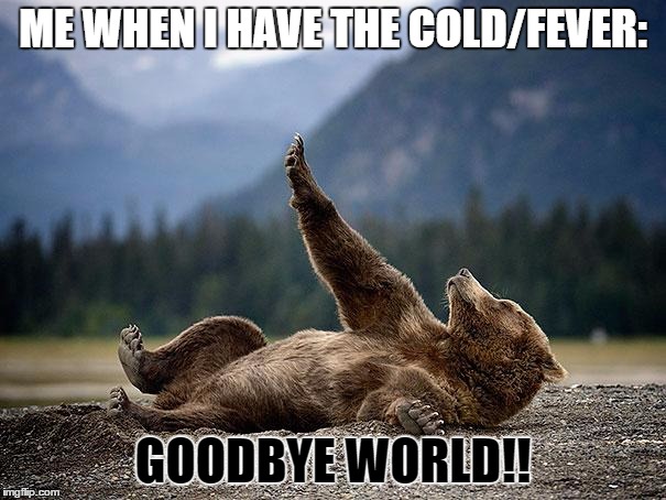 I'm over my sickness but my nose is running a lot.  | ME WHEN I HAVE THE COLD/FEVER:; GOODBYE WORLD!! | image tagged in overly dramatic bear,sick | made w/ Imgflip meme maker