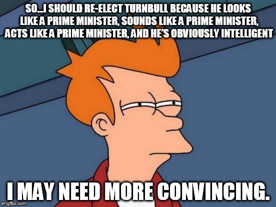 Futurama Fry Meme | SO...I SHOULD RE-ELECT TURNBULL BECAUSE HE LOOKS LIKE A PRIME MINISTER, SOUNDS LIKE A PRIME MINISTER, ACTS LIKE A PRIME MINISTER, AND HE'S OBVIOUSLY INTELLIGENT; I MAY NEED MORE CONVINCING. | image tagged in memes,futurama fry | made w/ Imgflip meme maker