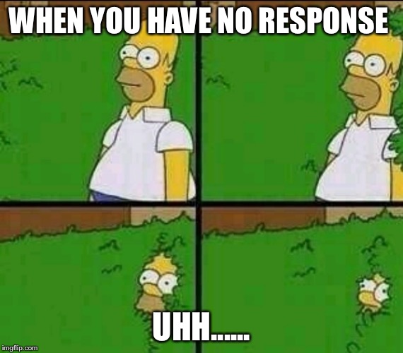 Simpsons | WHEN YOU HAVE NO RESPONSE; UHH...... | image tagged in simpsons | made w/ Imgflip meme maker