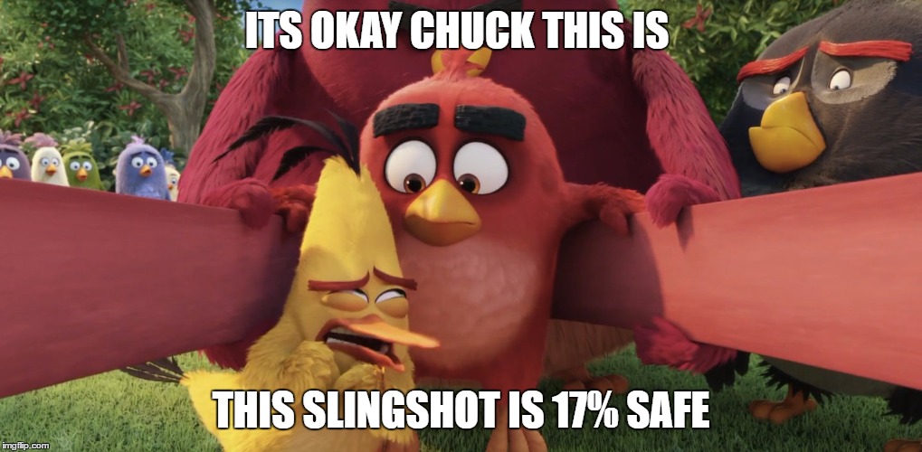 ANGRY BIRDS | ITS OKAY CHUCK THIS IS; THIS SLINGSHOT IS 17% SAFE | image tagged in angry birds | made w/ Imgflip meme maker
