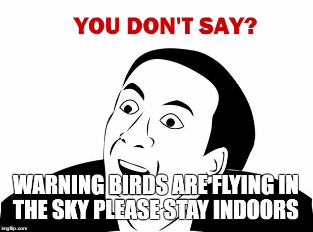 You Don't Say | WARNING BIRDS ARE FLYING IN THE SKY PLEASE STAY INDOORS | image tagged in memes,you don't say | made w/ Imgflip meme maker