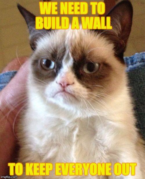 Grumpy Cat Meme | WE NEED TO BUILD A WALL TO KEEP EVERYONE OUT | image tagged in memes,grumpy cat | made w/ Imgflip meme maker