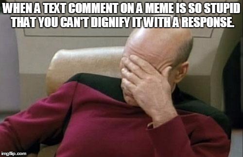 Captain Picard Facepalm | WHEN A TEXT COMMENT ON A MEME IS SO STUPID THAT YOU CAN'T DIGNIFY IT WITH A RESPONSE. | image tagged in memes,captain picard facepalm | made w/ Imgflip meme maker