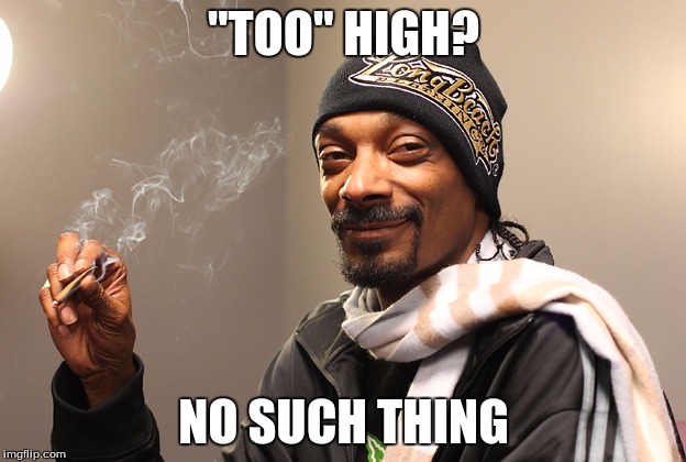 Snoop Dogg | "TOO" HIGH? NO SUCH THING | image tagged in snoop dogg | made w/ Imgflip meme maker