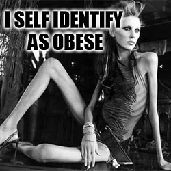 dismorphia issues are mental illness, encouraging mental illness is not compassionate it is cruel  | I SELF IDENTIFY AS OBESE | image tagged in anorexia,transgender,gender dismorphia,mental illness | made w/ Imgflip meme maker