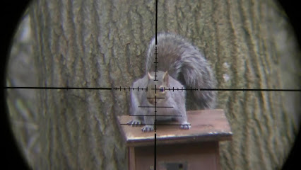 High Quality Squirrel Sniper Blank Meme Template