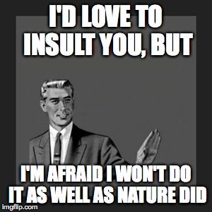 I saw this one on Pinterest... XD | I'D LOVE TO INSULT YOU, BUT; I'M AFRAID I WON'T DO IT AS WELL AS NATURE DID | image tagged in memes,kill yourself guy,insult,pinterest,nature | made w/ Imgflip meme maker