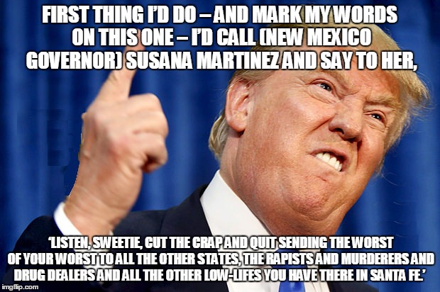 The wisdom of Trump | FIRST THING I’D DO – AND MARK MY WORDS ON THIS ONE – I’D CALL (NEW MEXICO GOVERNOR) SUSANA MARTINEZ AND SAY TO HER, ‘LISTEN, SWEETIE, CUT THE CRAP AND QUIT SENDING THE WORST OF YOUR WORST TO ALL THE OTHER STATES, THE RAPISTS AND MURDERERS AND DRUG DEALERS AND ALL THE OTHER LOW-LIFES YOU HAVE THERE IN SANTA FE.’ | image tagged in what me worry | made w/ Imgflip meme maker