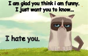 Just so you know... | I am glad you think i am funny. I just want you to know... I hate you. | image tagged in grumpy cat,kayplayz,memes,funny,cats | made w/ Imgflip meme maker