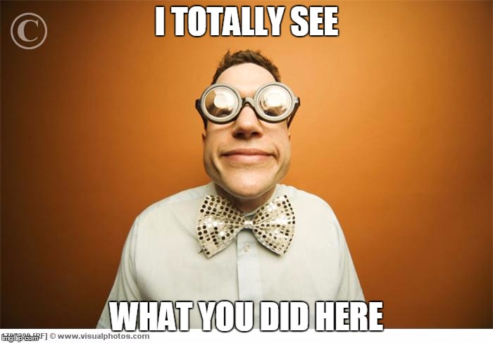 totally see it | I TOTALLY SEE; WHAT YOU DID HERE | image tagged in glasses,see it | made w/ Imgflip meme maker