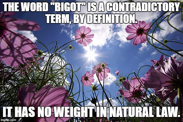What bigotry? | THE WORD "BIGOT" IS A CONTRADICTORY TERM, BY DEFINITION. IT HAS NO WEIGHT IN NATURAL LAW. | image tagged in bigotry,social justice warrior,memes | made w/ Imgflip meme maker