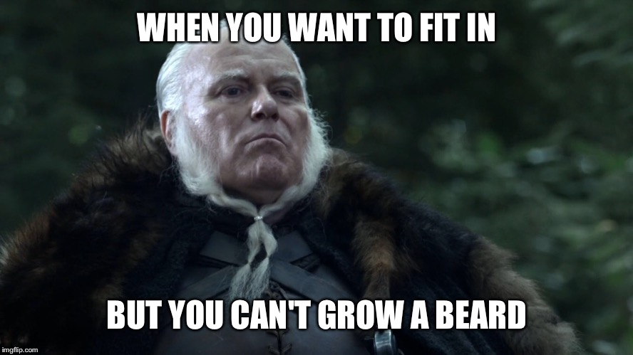 When you want to fit in but you can't grow a beard | WHEN YOU WANT TO FIT IN; BUT YOU CAN'T GROW A BEARD | image tagged in beard,game of thrones | made w/ Imgflip meme maker