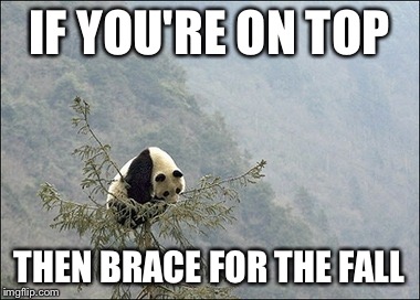 Panda on top | IF YOU'RE ON TOP; THEN BRACE FOR THE FALL | image tagged in panda on top | made w/ Imgflip meme maker