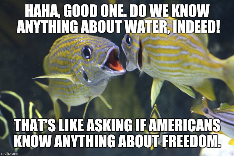 HAHA, GOOD ONE. DO WE KNOW ANYTHING ABOUT WATER, INDEED! THAT'S LIKE ASKING IF AMERICANS KNOW ANYTHING ABOUT FREEDOM. | image tagged in fishing,hillary clinton,bernie sanders | made w/ Imgflip meme maker